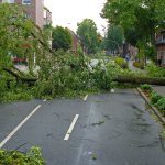 W Limburgii żółty alert i silne podmuchy wiatru